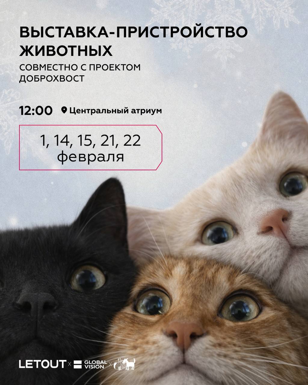ВЫСТАВКА-ПРИСТРОЙСТВО ЖИВОТНЫХ