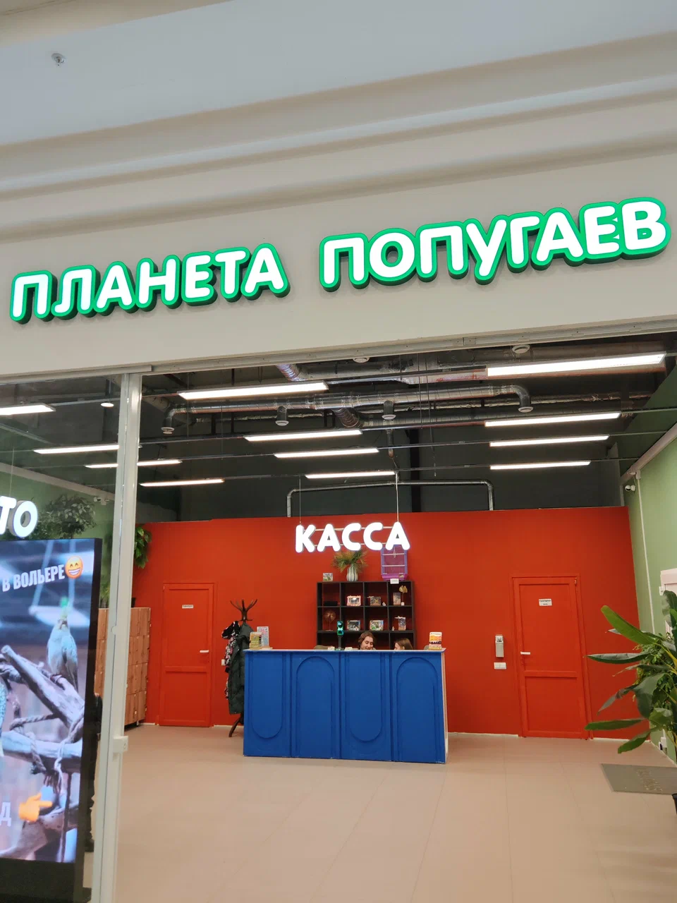 ОТКРЫТИЕ ПЛАНЕТЫ ПОПУГАЕВ